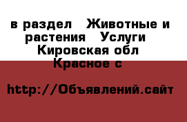  в раздел : Животные и растения » Услуги . Кировская обл.,Красное с.